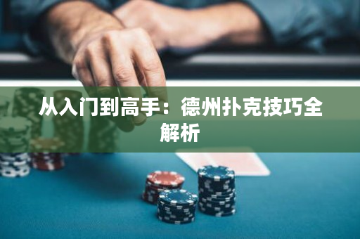 从入门到高手：德州扑克技巧全解析