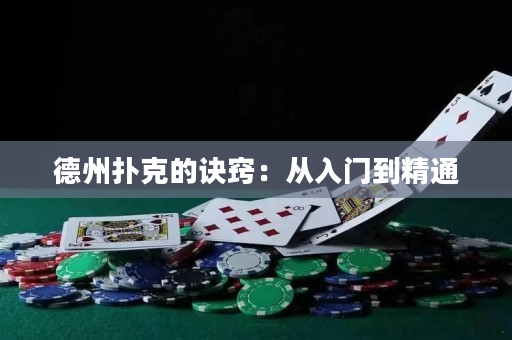 德州扑克的诀窍：从入门到精通