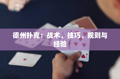 德州扑克：战术、技巧、规则与经验