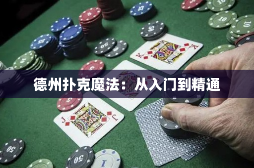 德州扑克魔法：从入门到精通