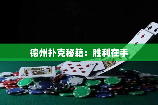 德州扑克秘籍：胜利在手