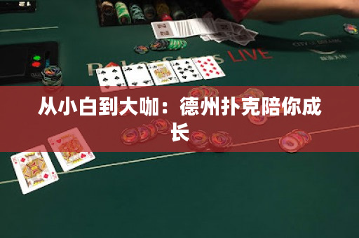 从小白到大咖：德州扑克陪你成长