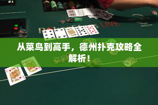 从菜鸟到高手，德州扑克攻略全解析！