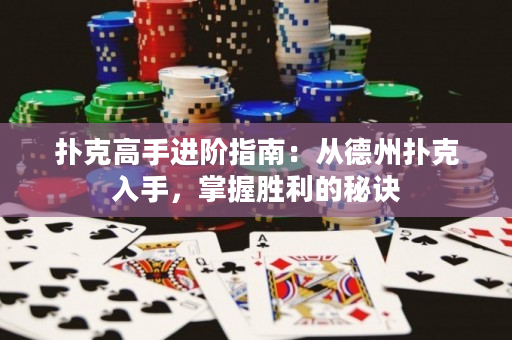 扑克高手进阶指南：从德州扑克入手，掌握胜利的秘诀