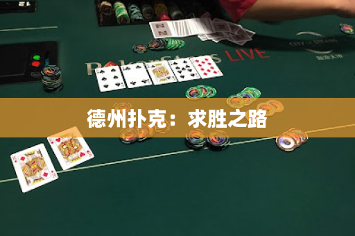 德州扑克：求胜之路