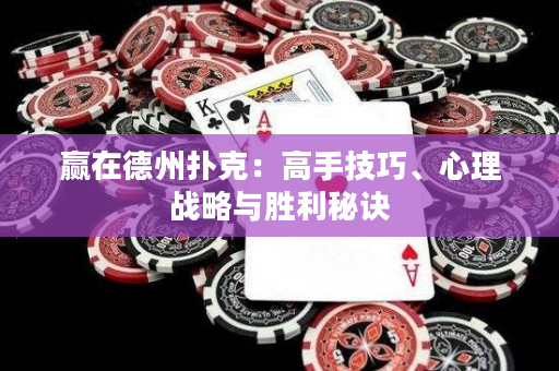 赢在德州扑克：高手技巧、心理战略与胜利秘诀